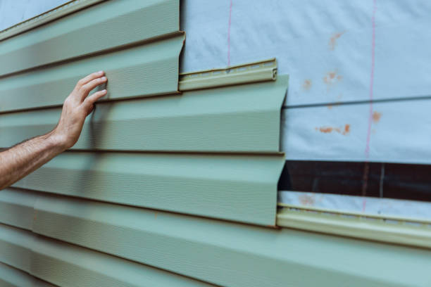 Best Weatherproofing and Sealing  in Roosevelt Park, MI